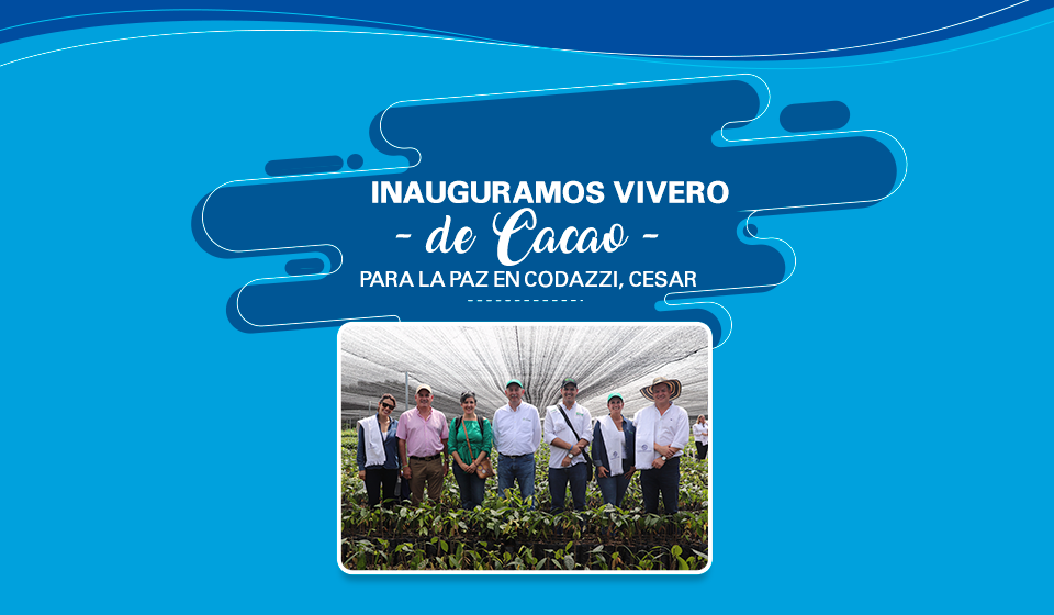 Inauguramos Vivero de Cacao para la Paz en Codazzi, Cesar.