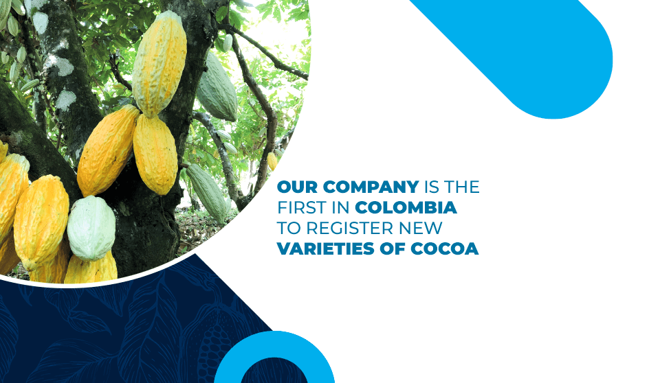 Our Compañía Nacional de Chocolates, a first private company in Colombia to register new cocoa varieties