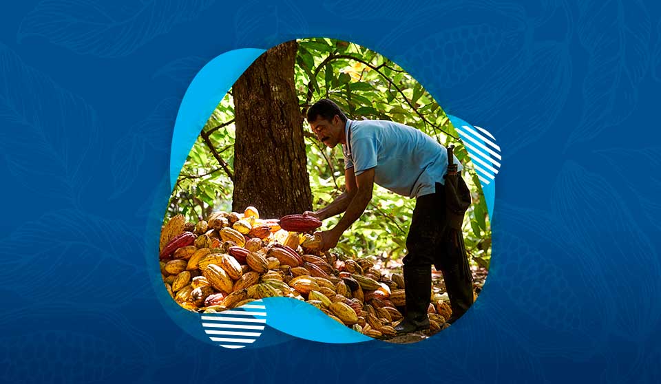 Marcas con Propósito: Nuestra marca Cordillera y su iniciativa de cacao para la paz