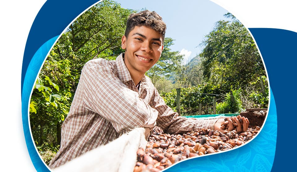 ¡Nuestros clones de cacao CNCH 12 y CNCH 13 ahora cuentan con registro para la siembra a nivel nacional!