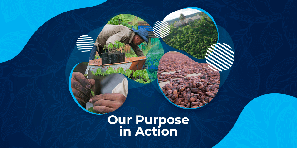 Our Purpose into Action