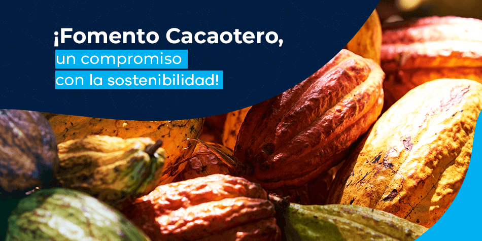 ¡Fomento Cacaotero, un compromiso con la sostenibilidad!