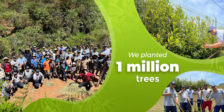 At the beginning of 2024, Nutresa made the planting of one million trees happen